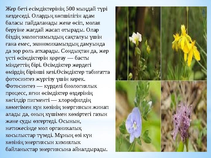 Жер беті есімдіктерінің 500 мыңдай түрі кездеседі. Олардьң көпшілігін адам баласы пайдаланады жеке өсіп, молая беруіне жағдай
