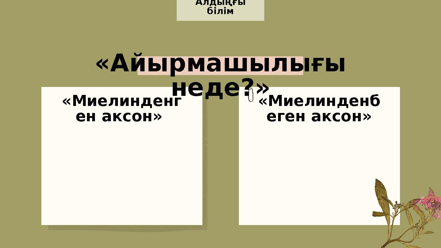 Порно видео свингтер достар