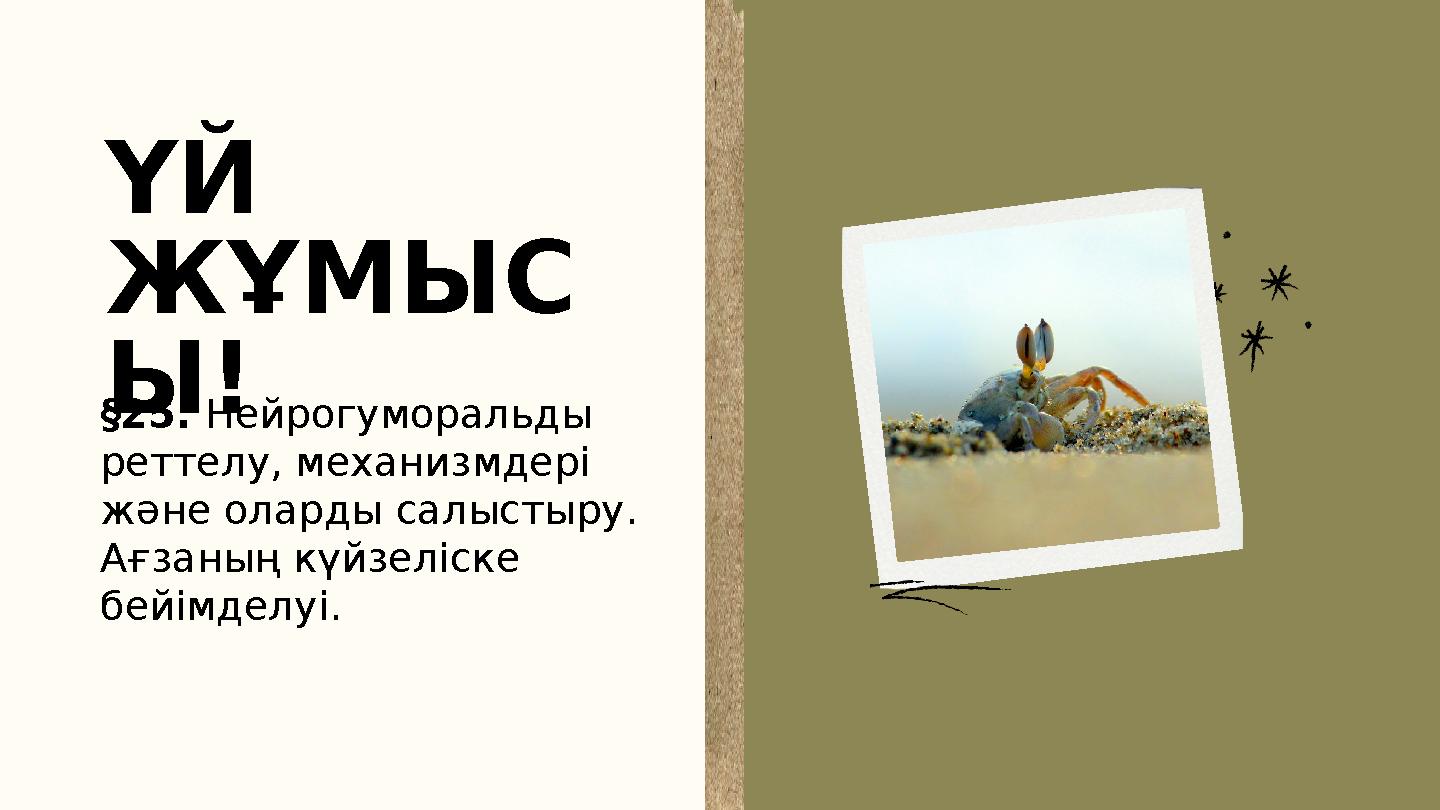 ҮЙ ЖҰМЫС Ы! §25. Нейрогуморальды реттелу, механизмдері және оларды салыстыру. Ағзаның күйзеліске бейімделуі.