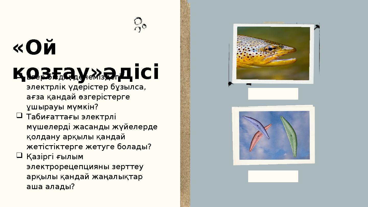 Егер біздің денеміздегі электрлік үдерістер бұзылса, ағза қандай өзгерістерге ұшырауы мүмкін? Табиғаттағы электрлі мүшелер