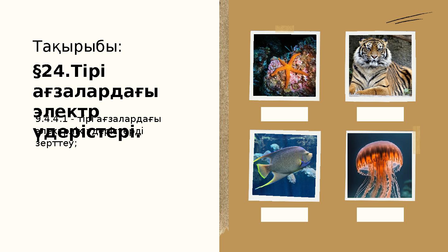 Тақырыбы: §24.Тірі ағзалардағы электр үдерістері. 9.4.4.1 - тірі ағзалардағы электрлік үдерістерді зерттеу;