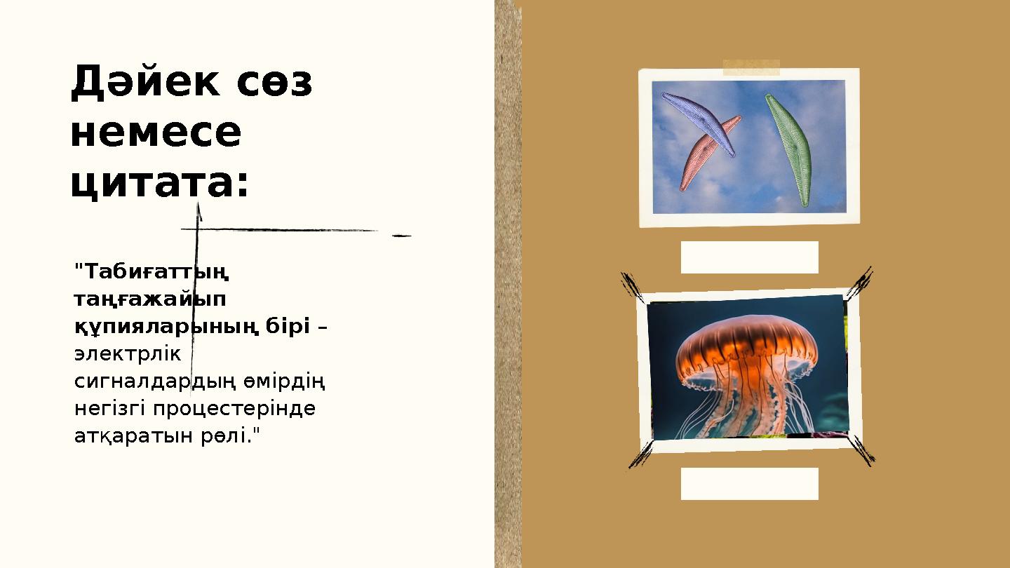Дәйек сөз немесе цитата: "Табиғаттың таңғажайып құпияларының бірі – электрлік сигналдардың өмірдің негізгі процестерінде