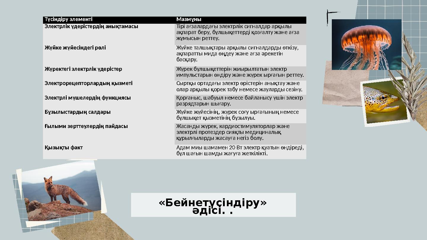 «Бейнетүсіндіру» әдісі. . Түсіндіру элементі Мазмұны Электрлік үдерістердің анықтамасы Тірі ағзалардағы электрлік сигналдар арқ