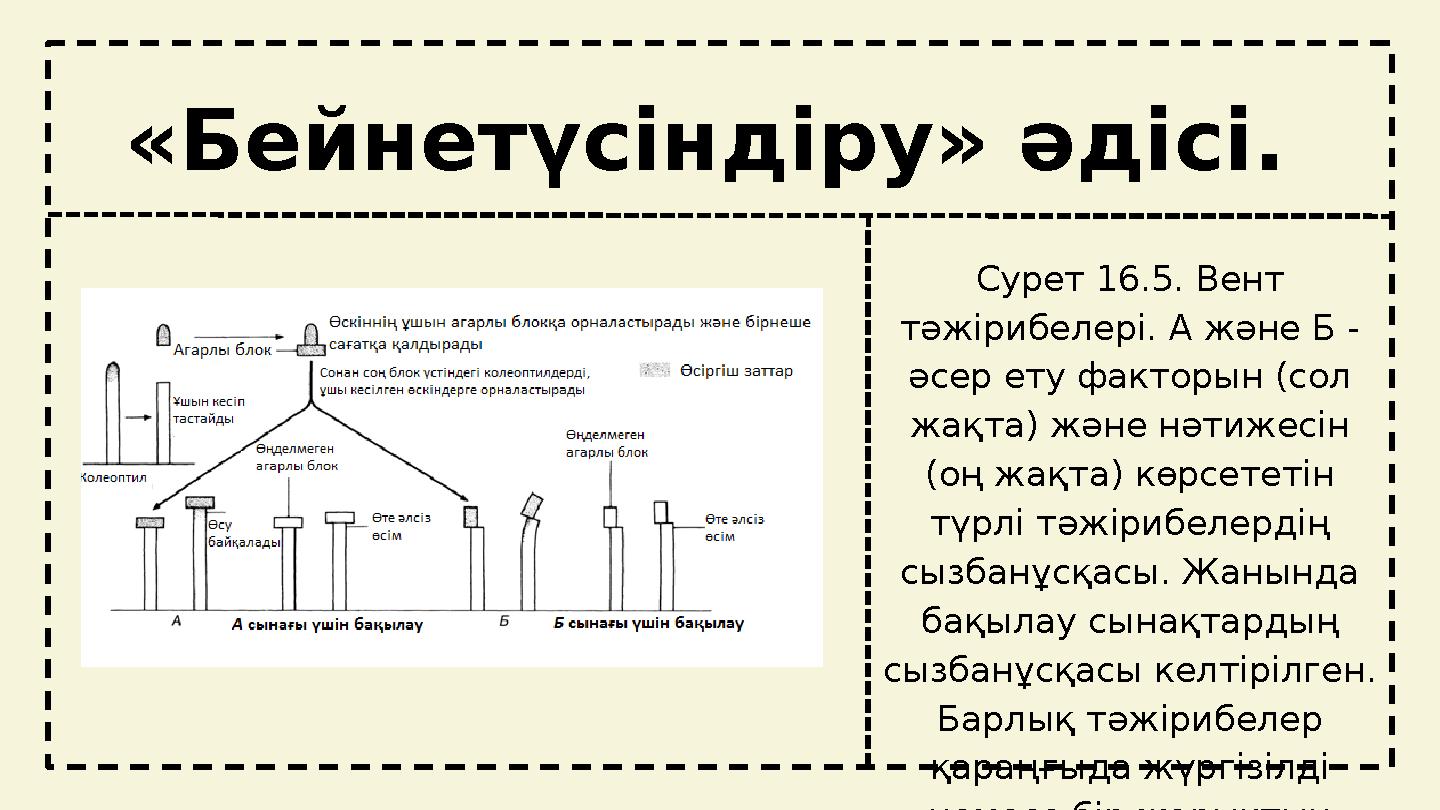 tt «Бейнетүсіндіру» әдісі. Сурет 16.5. Вент тәжірибелері. А және Б - әсер ету факторын (сол жақта) және нәтижесін (оң жақта