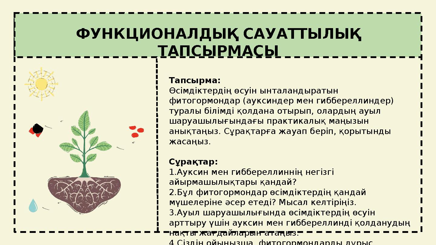 ФУНКЦИОНАЛДЫҚ САУАТТЫЛЫҚ ТАПСЫРМАСЫ Тапсырма: Өсімдіктердің өсуін ынталандыратын фитогормондар (ауксиндер мен гиббереллиндер)