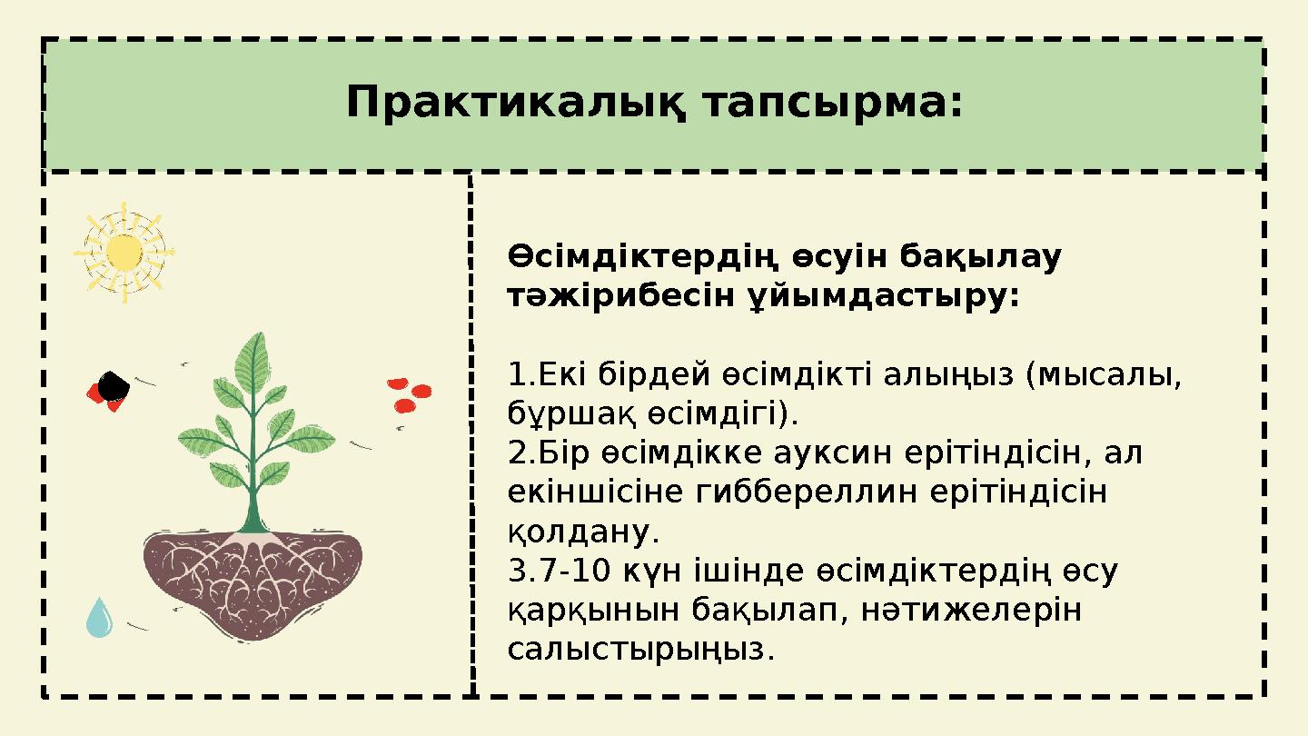 Практикалық тапсырма: Өсімдіктердің өсуін бақылау тәжірибесін ұйымдастыру: 1.Екі бірдей өсімдікті алыңыз (мысалы, бұршақ өсімд