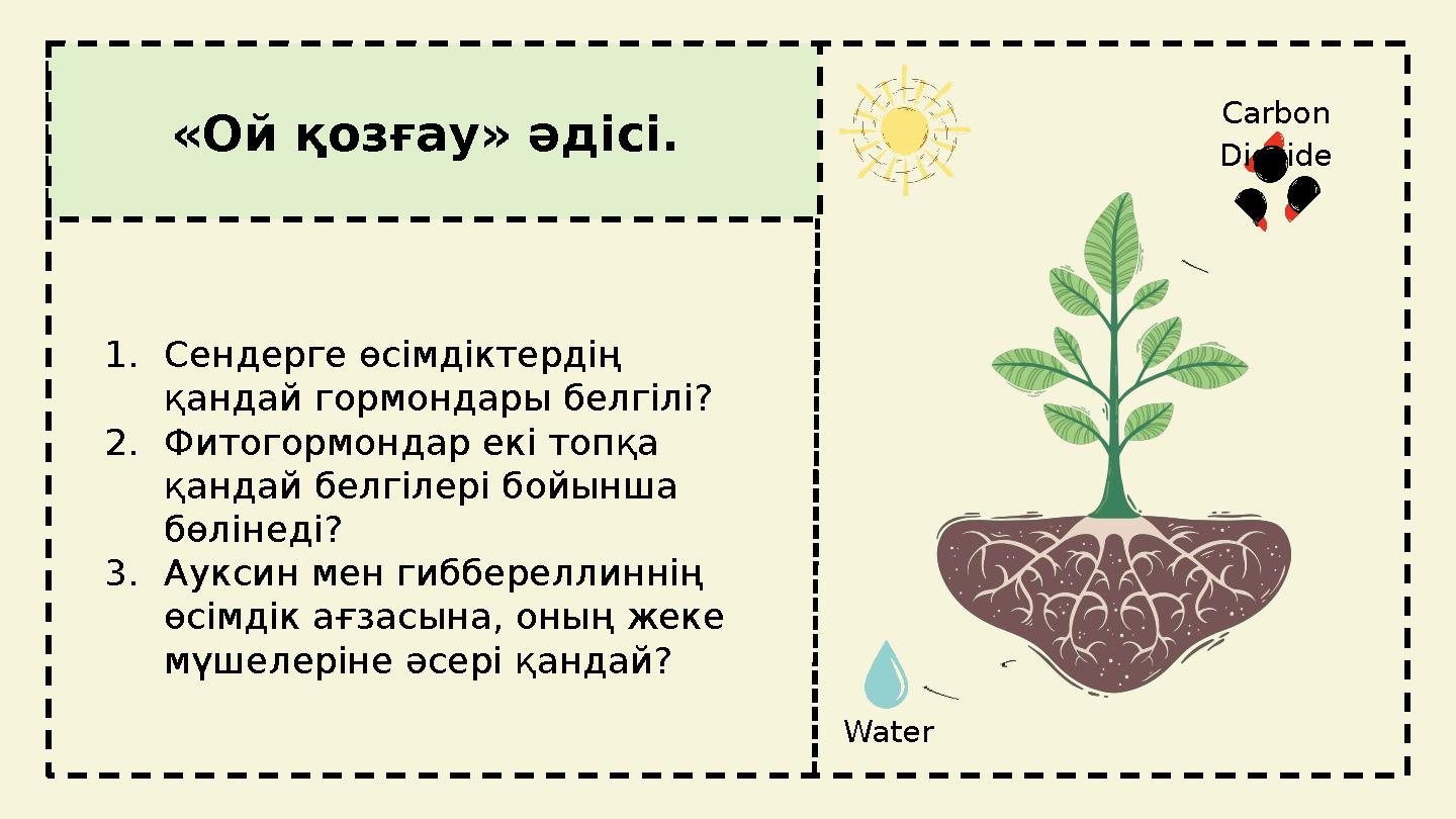 Порно үзу сілтемесі