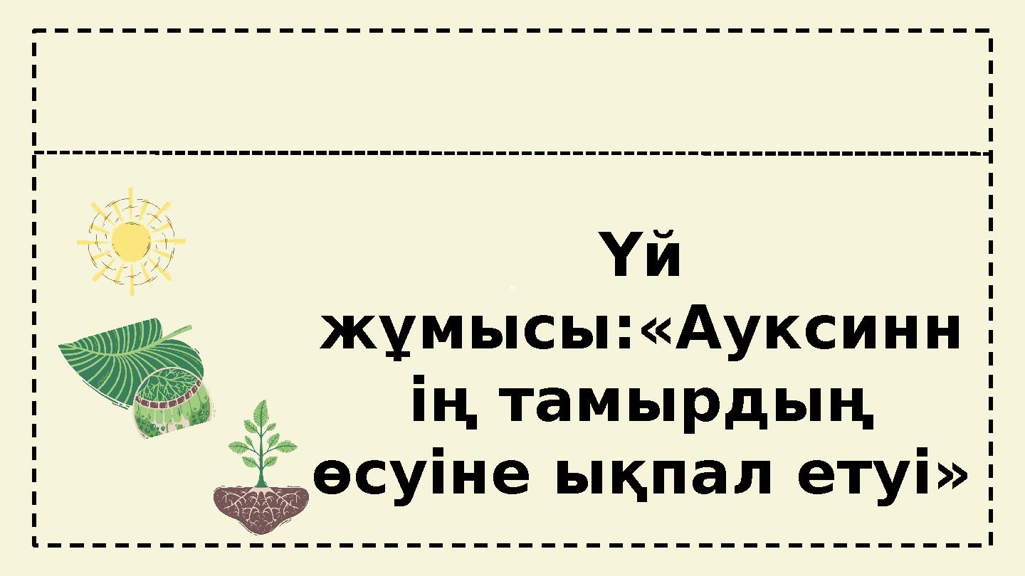 ttҮй жұмысы:«Ауксинн ің тамырдың өсуіне ықпал етуі»