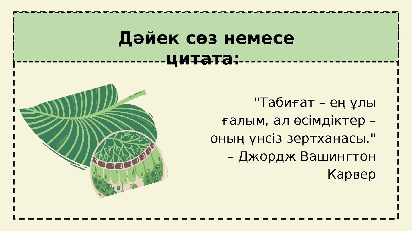 Дәйек сөз немесе цитата: "Табиғат – ең ұлы ғалым, ал өсімдіктер – оның үнсіз зертханасы." – Джордж Вашингтон Карвер