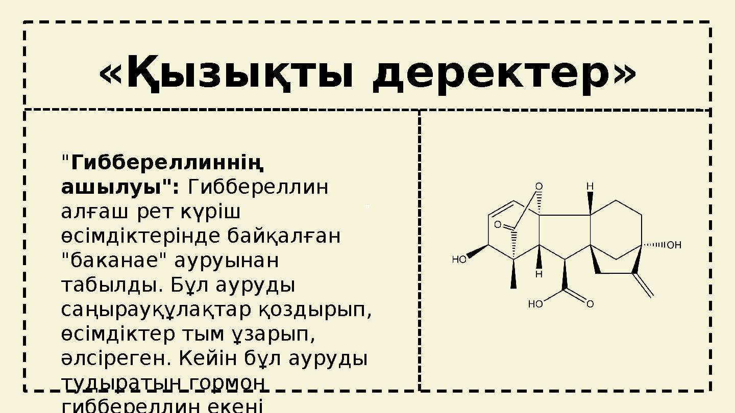 tt «Қызықты деректер» "Гиббереллиннің ашылуы": Гиббереллин алғаш рет күріш өсімдіктерінде байқалған "баканае" ауруынан табы