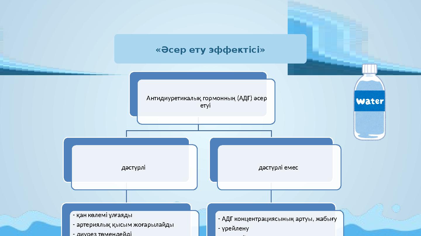 «Әсер ету эффектісі» Антидиуретикалық гормонның (АДГ) әсер етуі дәстүрлі - қан көлемі ұлғаяды - артериялық қысым жоғарыла