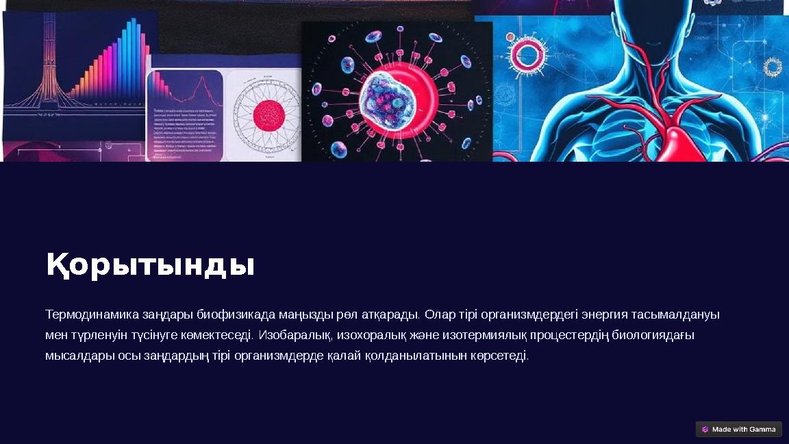 Қорытынды Термодинамика заңдары биофизикада маңызды рөл атқарады. Олар тірі организмдердегі энергия тасымалдануы мен түрленуін