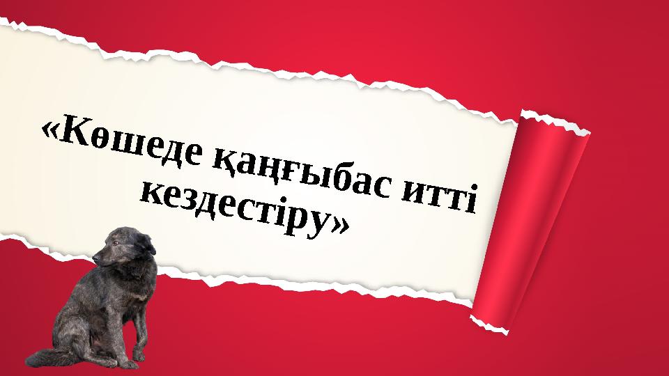 Жетілген шашты секс порно онлайн көру