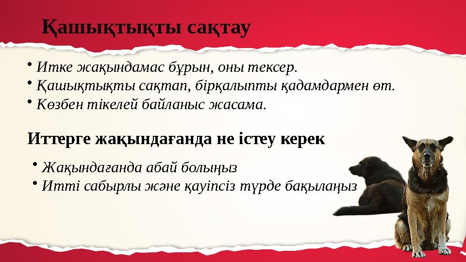 Киевтегі трансвеститтер мен кроссстерлер