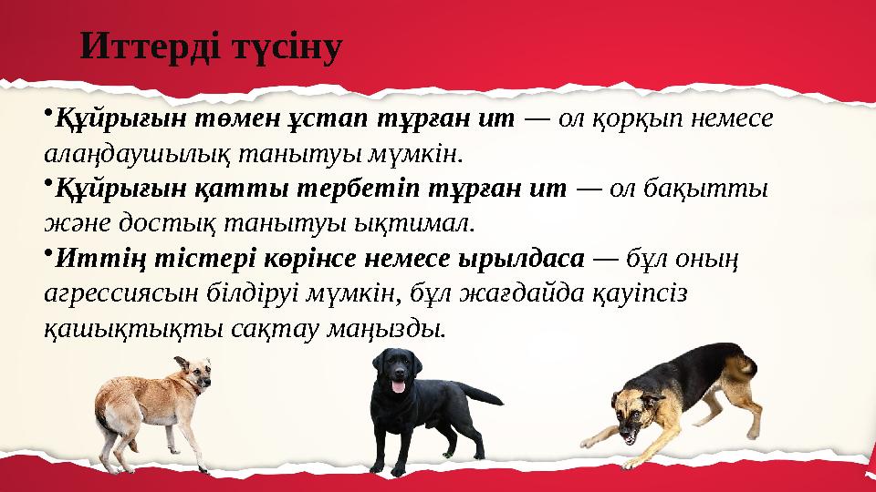 Трусики төмен түскен қыздар