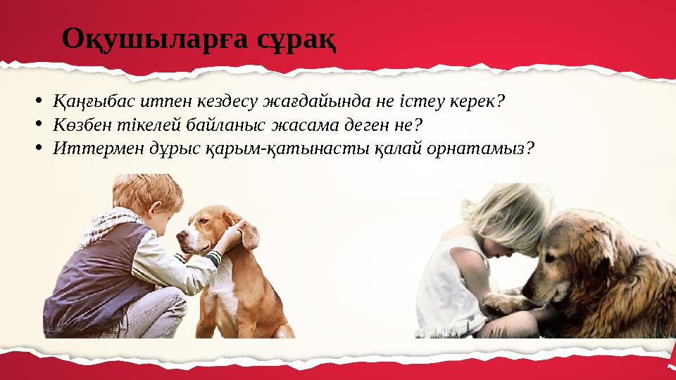 Мен аяғымды сындырдым порно фото видео