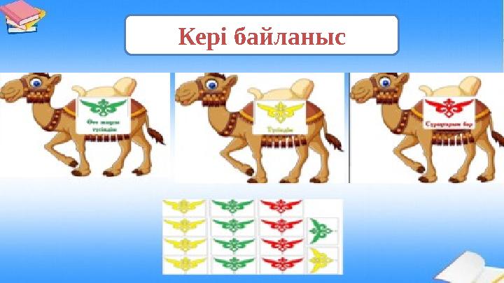 Кері байланыс