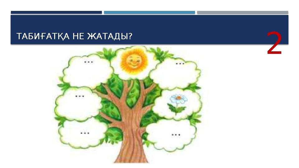 ТАБИҒАТҚА НЕ ЖАТАДЫ? 2