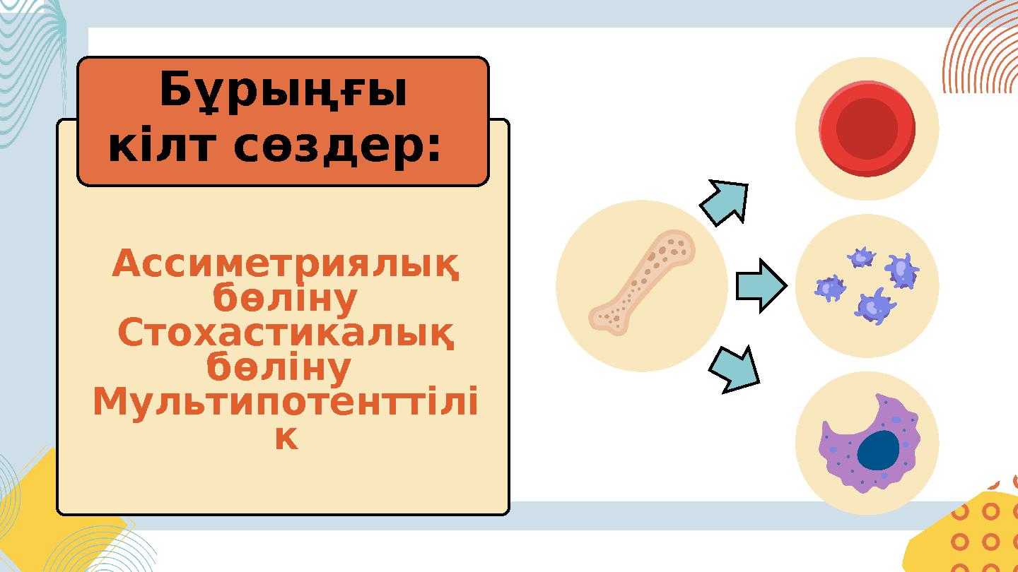 Валерия Немченконың аяқтарының арасы Жыныстық қатынас байланысты