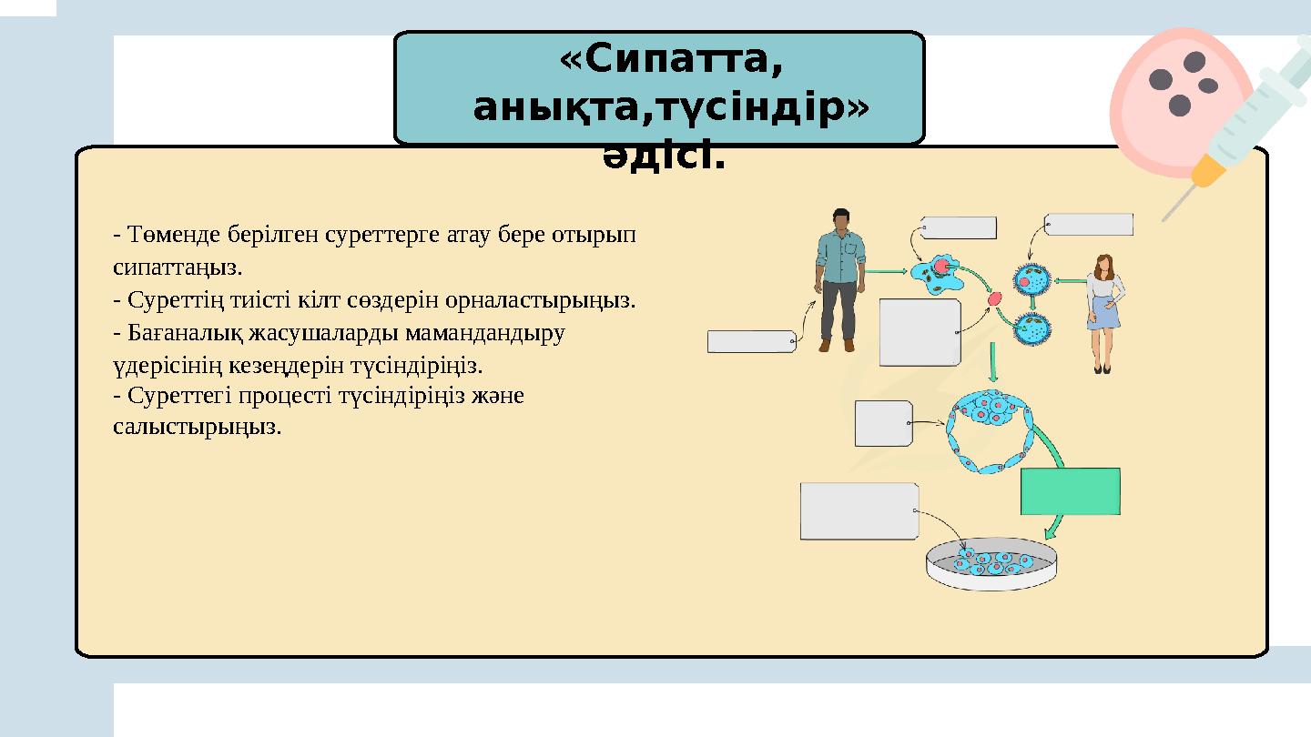 «Сипатта, анықта,түсіндір» әдісі. - Төменде берілген суреттерге атау бере отырып сипаттаңыз. - Суреттің тиісті кілт сөздер