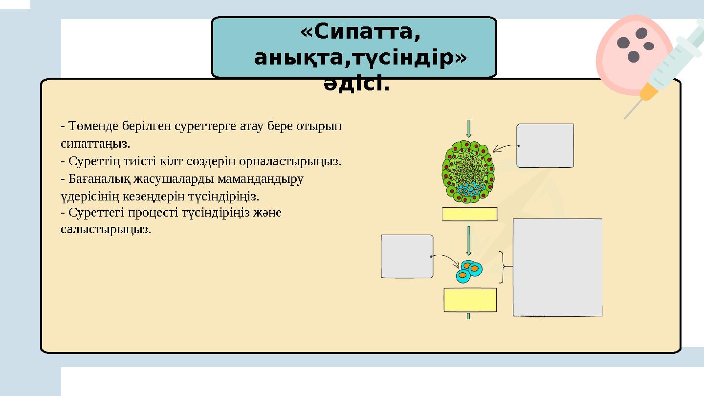 «Сипатта, анықта,түсіндір» әдісі. - Төменде берілген суреттерге атау бере отырып сипаттаңыз. - Суреттің тиісті кілт сөздер