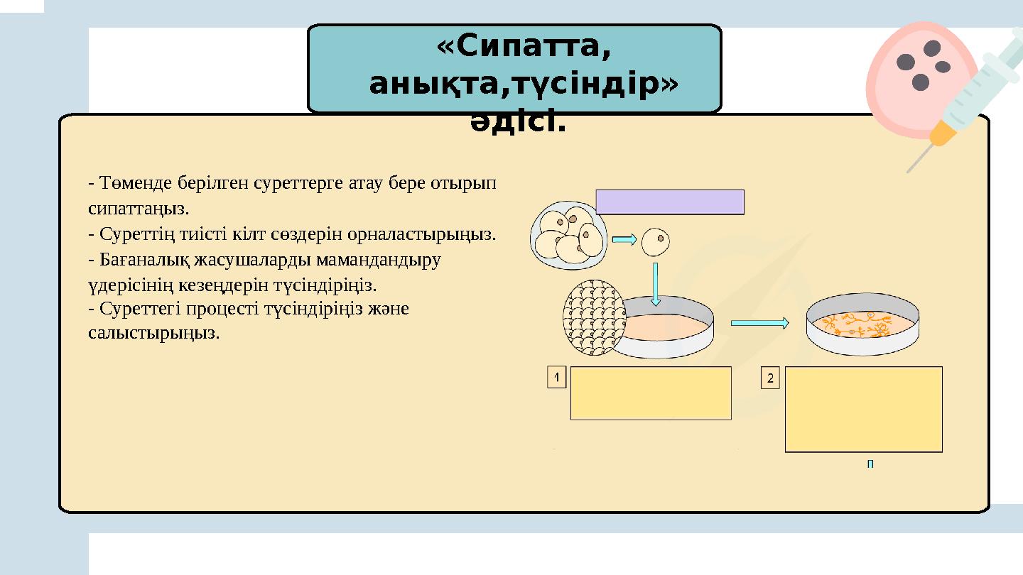 «Сипатта, анықта,түсіндір» әдісі. - Төменде берілген суреттерге атау бере отырып сипаттаңыз. - Суреттің тиісті кілт сөздер