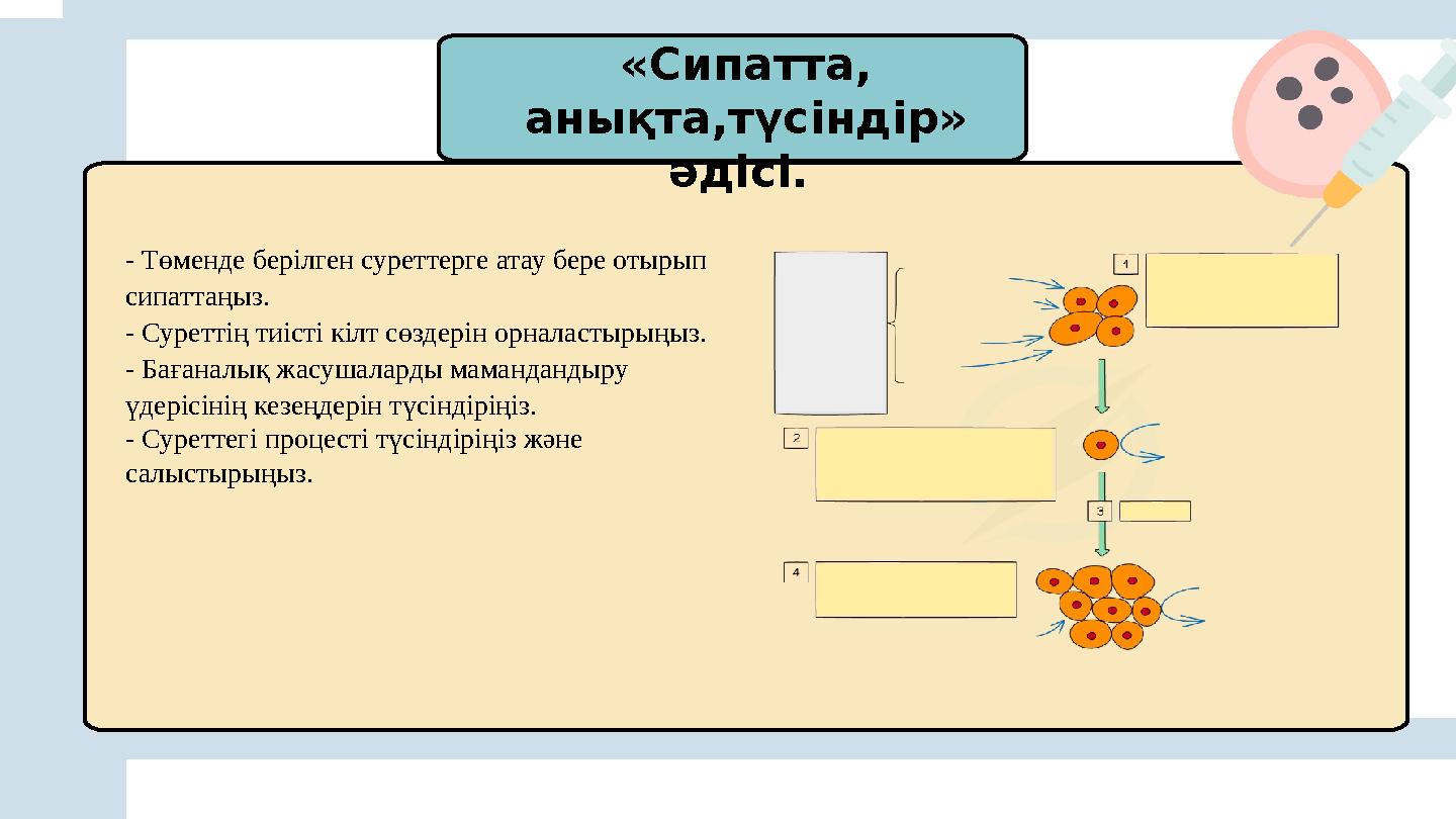 «Сипатта, анықта,түсіндір» әдісі. - Төменде берілген суреттерге атау бере отырып сипаттаңыз. - Суреттің тиісті кілт сөздер