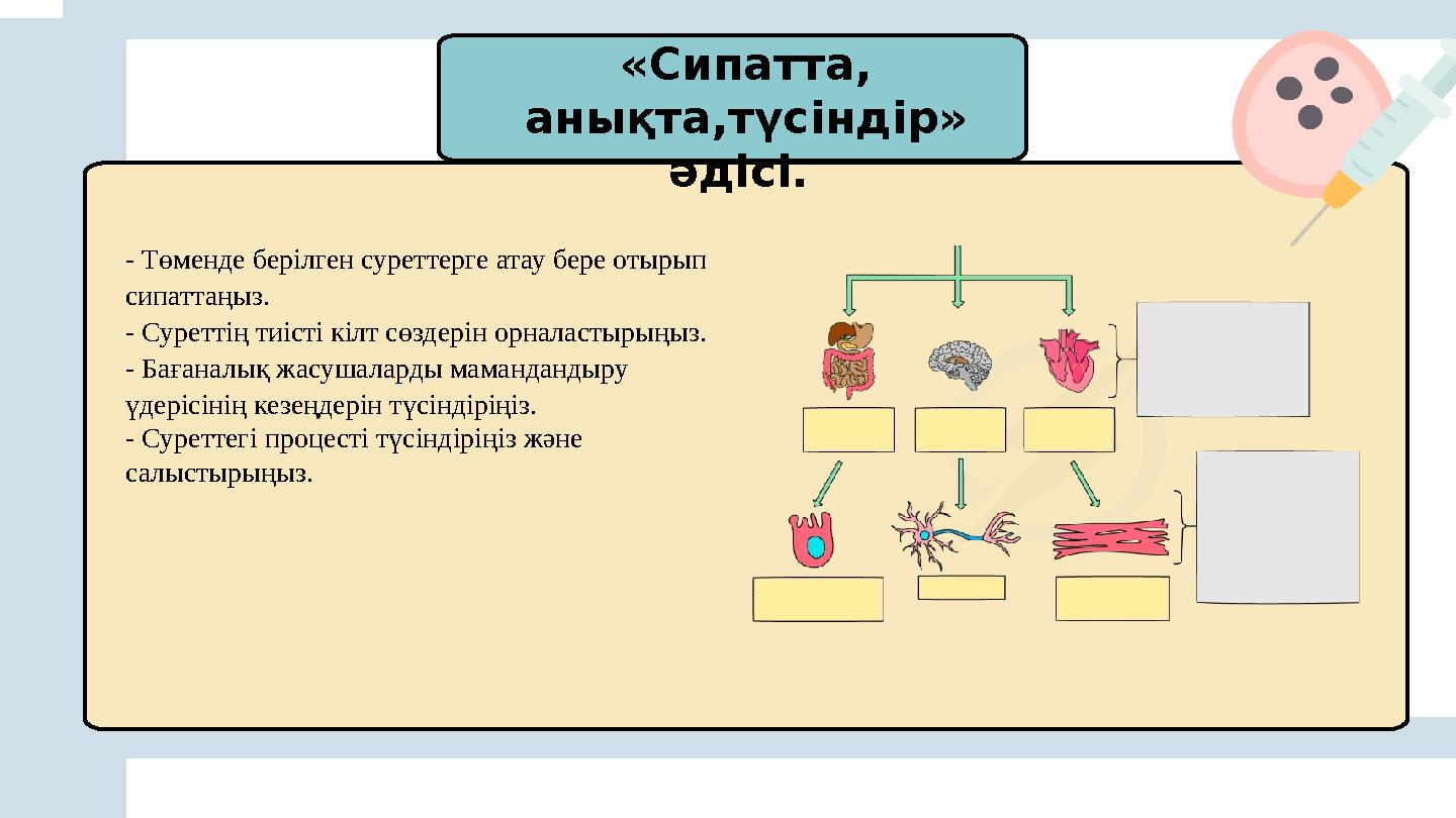 «Сипатта, анықта,түсіндір» әдісі. - Төменде берілген суреттерге атау бере отырып сипаттаңыз. - Суреттің тиісті кілт сөздер