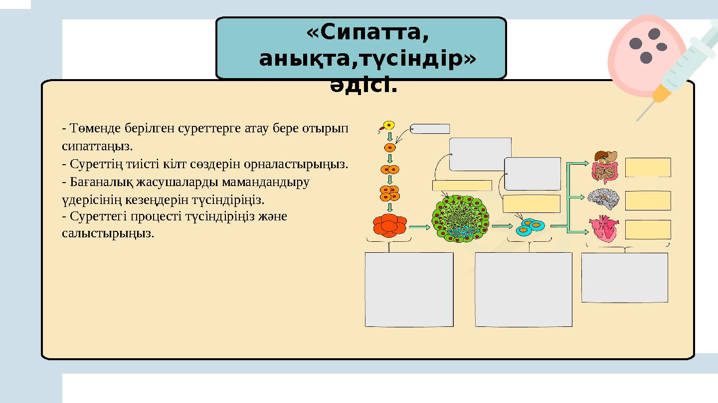 «Сипатта, анықта,түсіндір» әдісі. - Төменде берілген суреттерге атау бере отырып сипаттаңыз. - Суреттің тиісті кілт сөздер