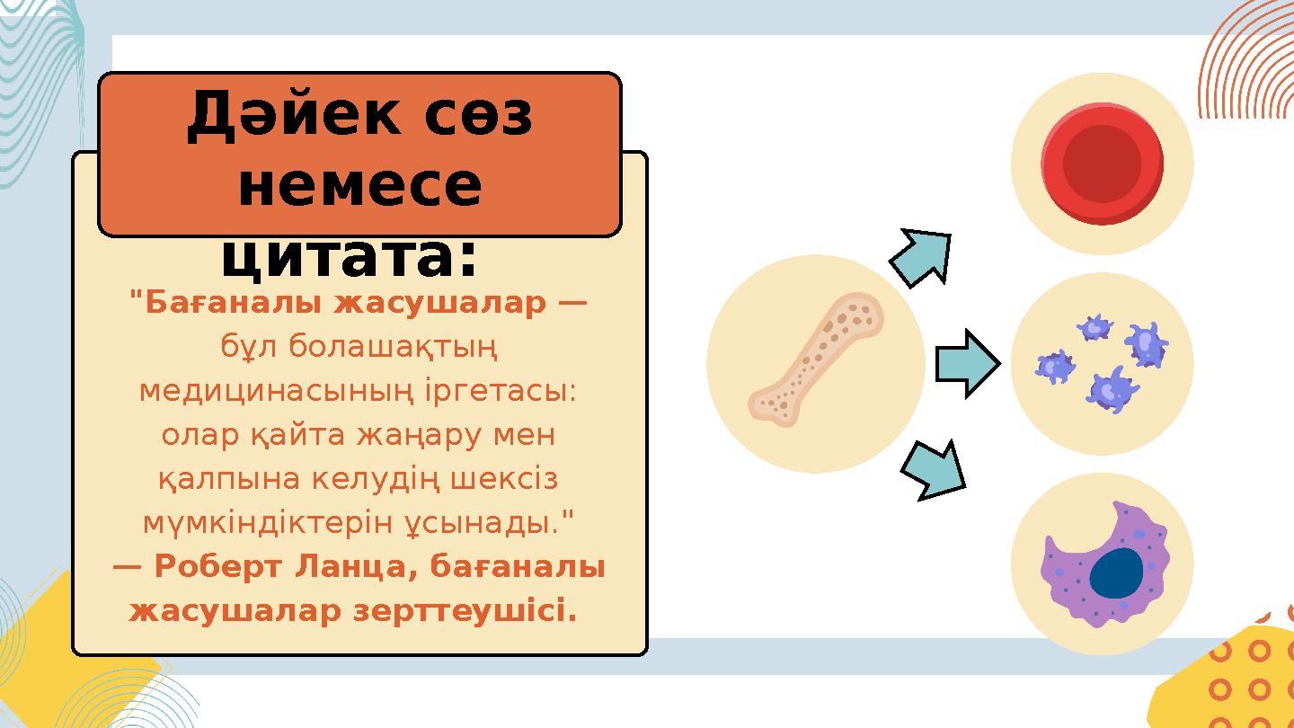 "Бағаналы жасушалар — бұл болашақтың медицинасының іргетасы: олар қайта жаңару мен қалпына келудің шексіз мүмкіндіктерін ұ