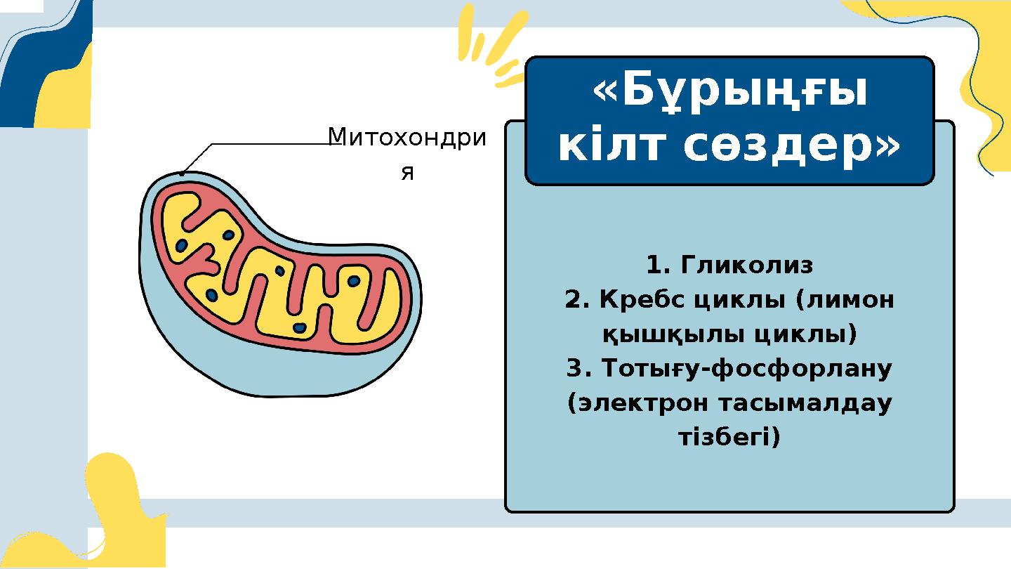 Күзет бекетіндегі секс