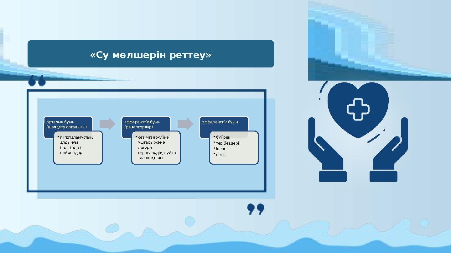 «Су мөлшерін реттеу» орталық буын (шөлдету орталығы) •гипоталамустың алдыңғы бөлігіндегі нейрондар афференттік буын (рец