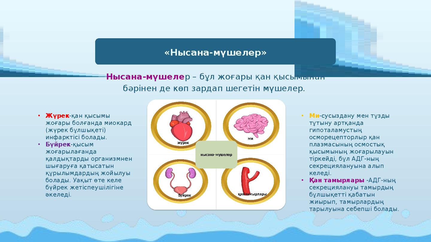 Нысана-мүшеле р – бұл жоғары қан қысымынан бәрінен де көп зардап шегетін мүшелер. «Нысана-мүшелер» •Жүрек-қан қысымы жоғары б