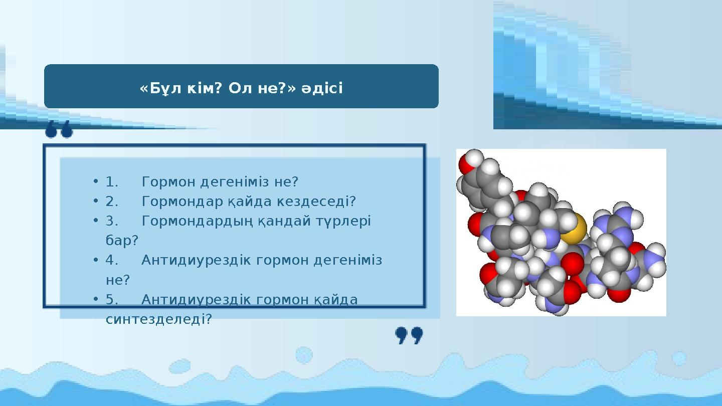 «Бұл кім? Ол не?» әдісі •1.Гормон дегеніміз не? •2.Гормондар қайда кездеседі? •3.Гормондардың қандай түрлері бар? •4.Антиди