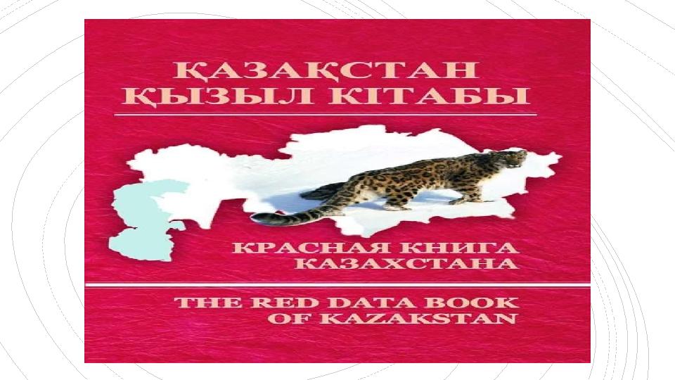 Сексуалды ашық трусиктер