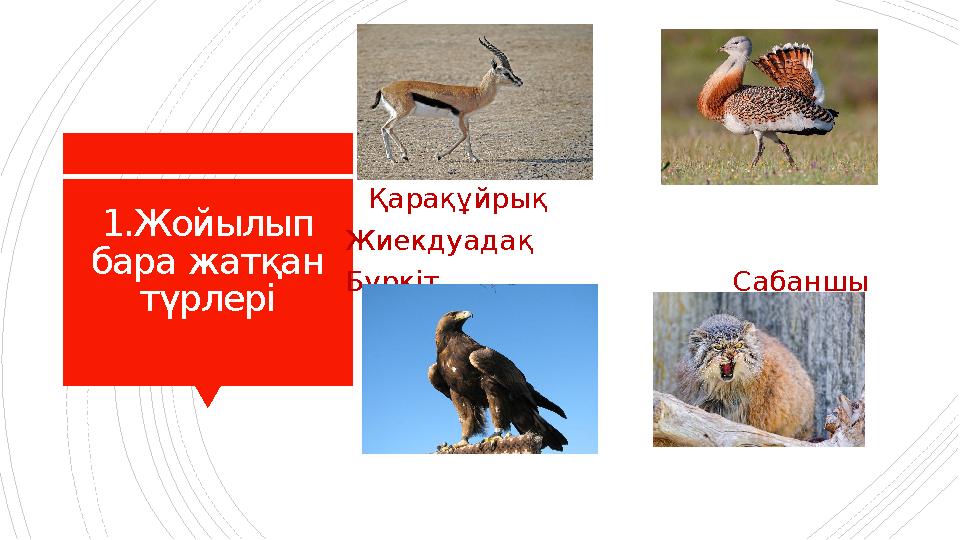 Орыс секс: күйеуі ұйықтап, әйелі трахает