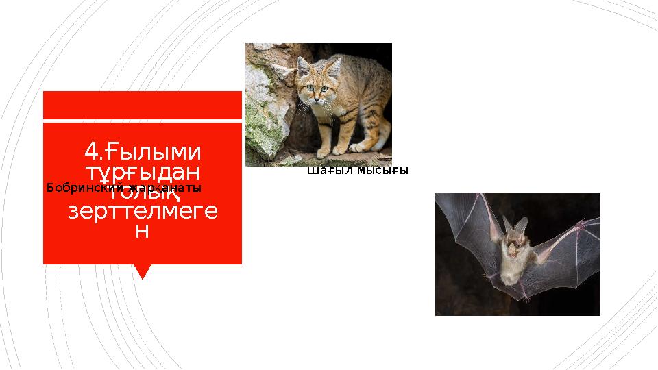 4.Ғылыми тұрғыдан толық зерттелмеге н