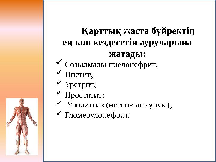 Қарттық жаста бүйректің ең көп кездесетін ауруларына жатады:  Созылмалы пиелонефрит;  Цистит;  Уретрит;  Простатит;  Урол