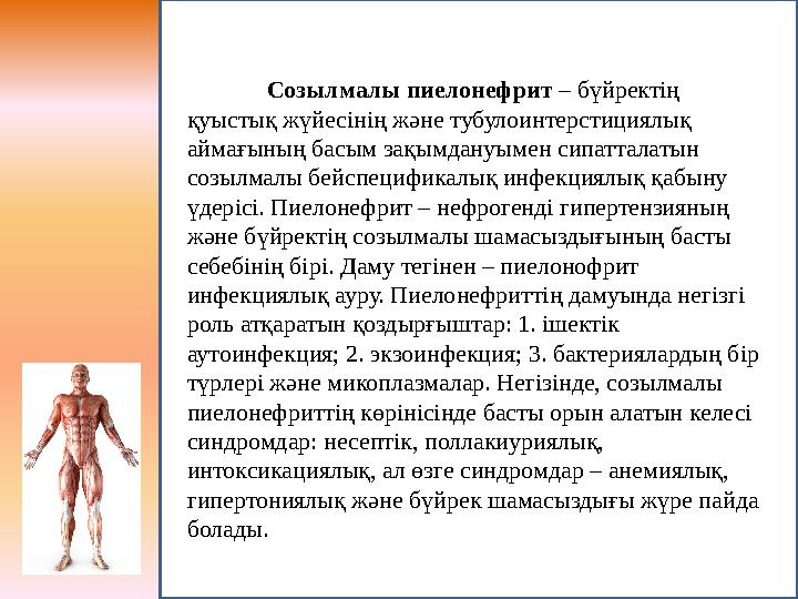 Созылмалы пиелонефрит – бүйректің қуыстық жүйесінің және тубулоинтерстициялық аймағының басым зақымдануымен сипатталатын созы