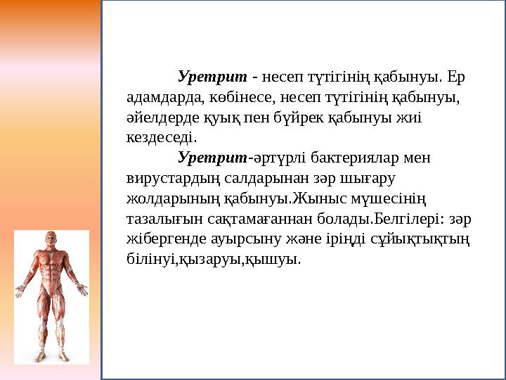 Уретрит - несеп түтігінің қабынуы. Ер адамдарда, көбінесе, несеп түтігінің қабынуы, әйелдерде қуық пен бүйрек қабынуы жиі кез
