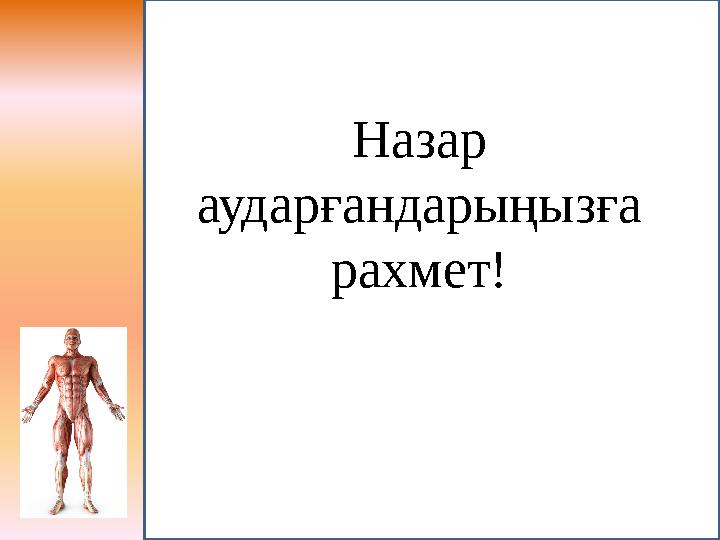 Назар аударғандарыңызға рахмет!