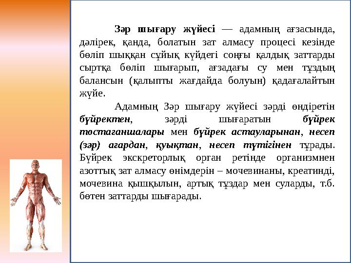 Зәр шығару жүйесі — адамның ағзасында, дәлірек, қанда, болатын зат алмасу процесі кезінде бөліп шыққан сұйық күйдегі соңғы қал
