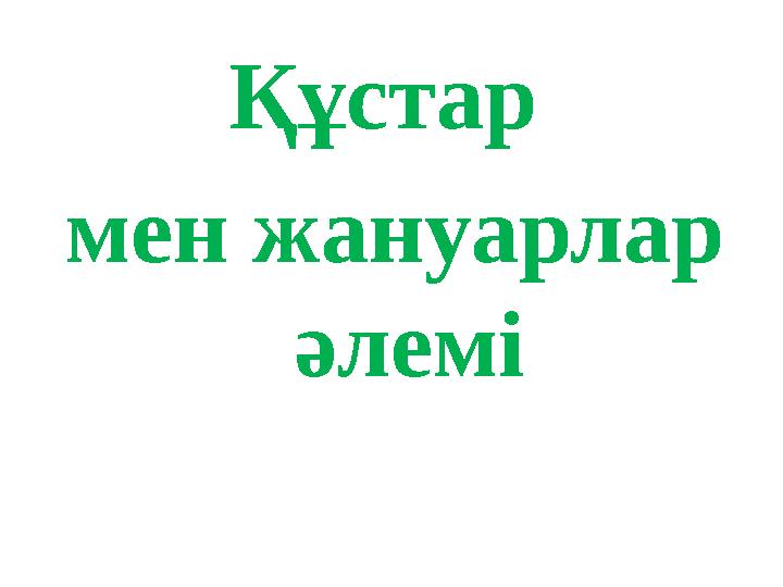 Құстар мен жануарлар әлемі