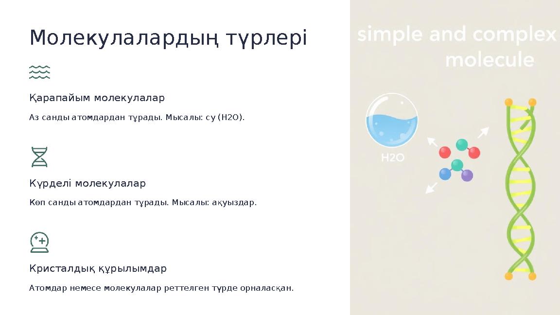 Молекулалардың түрлері Қарапайым молекулалар Аз санды атомдардан тұрады. Мысалы: су (H2O). Күрделі молекулалар Көп санды атомдар