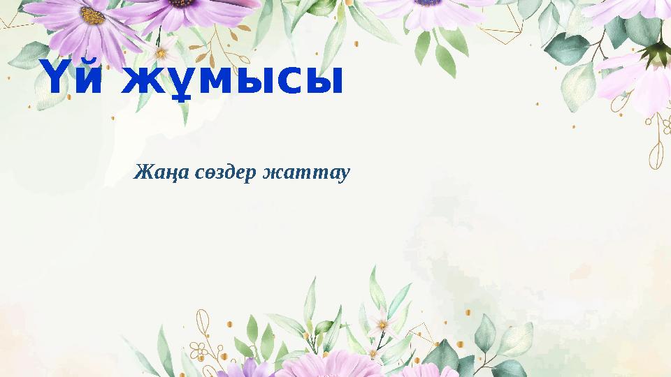 Үй жұмысы Жаңа сөздер жаттау