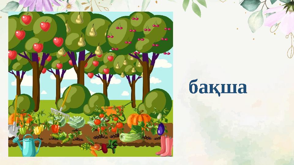 бақша