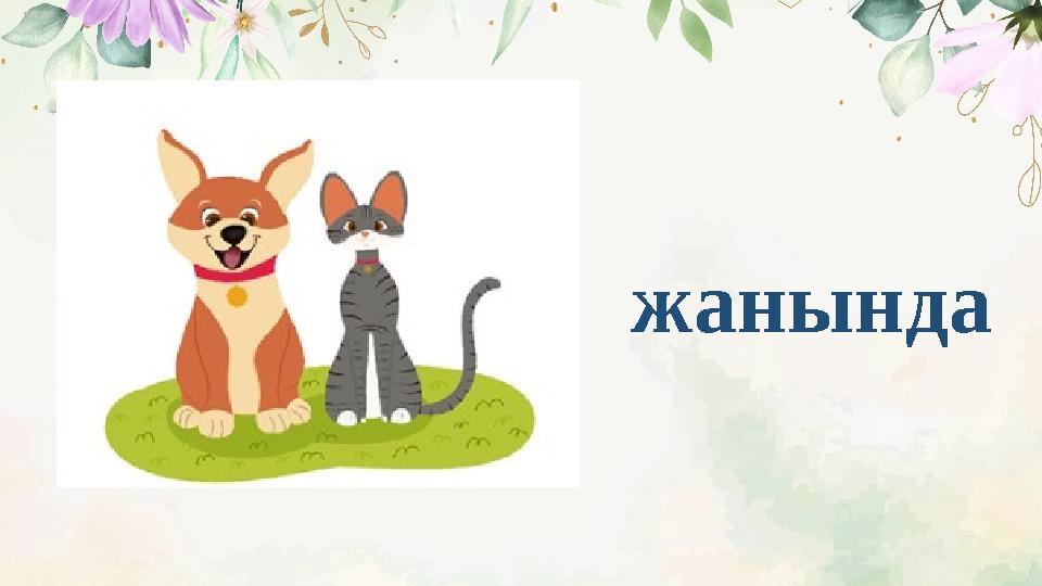 жанында