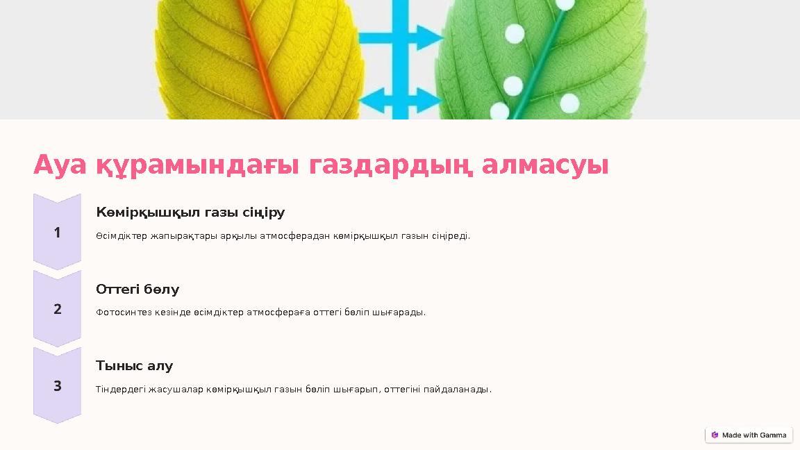 Ауа құрамындағы газдардың алмасуы Көмірқышқыл газы сіңіру Өсімдіктер жапырақтары арқылы атмосферадан көмірқышқыл газын сіңіреді.