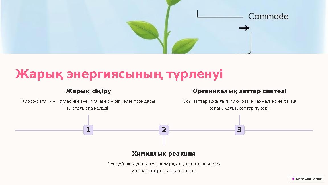 Жарық энергиясының түрленуі 1 Жарық сіңіру Хлорофилл күн сәулесінің энергиясын сіңіріп, электрондары қозғалысқа келеді. 2 Химия