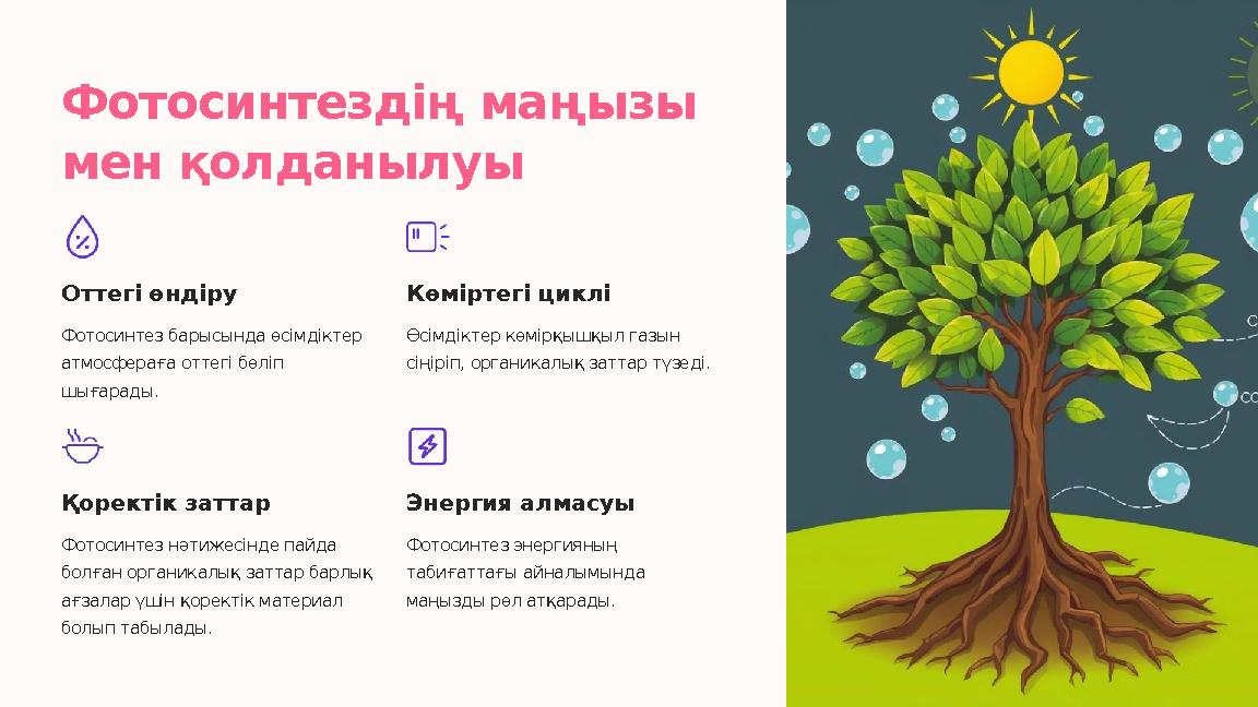 Фотосинтездің маңызы мен қолданылуы Оттегі өндіру Фотосинтез барысында өсімдіктер атмосфераға оттегі бөліп шығарады. Көміртег